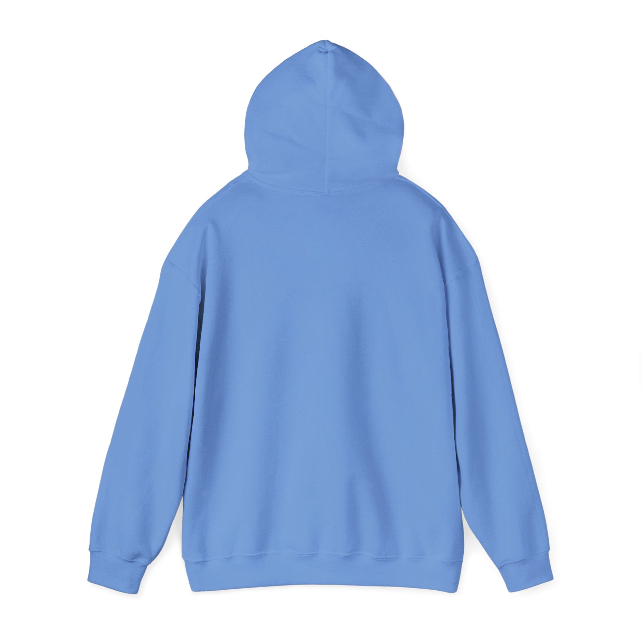 Installing Muscles Hoodie