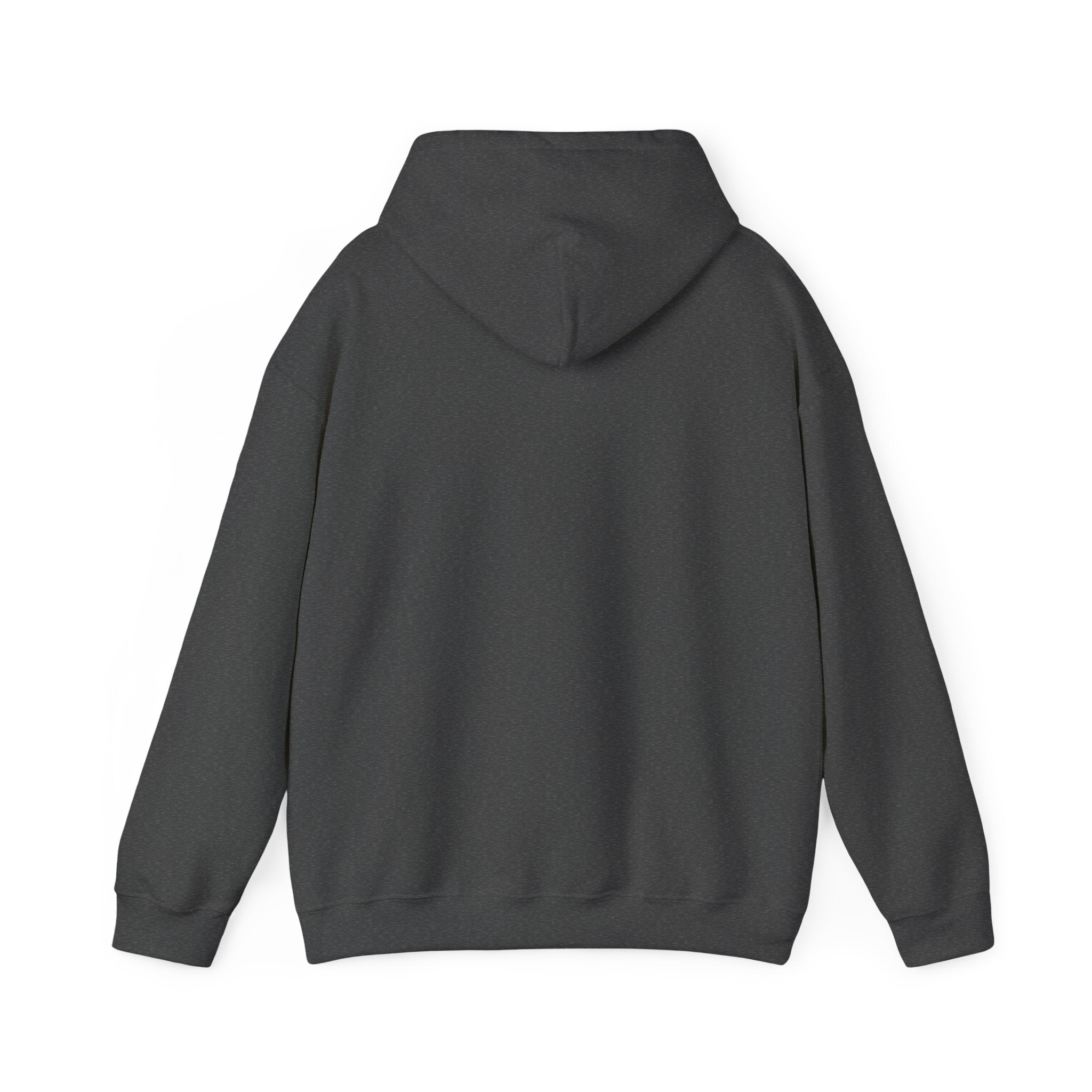 Installing Muscles Hoodie