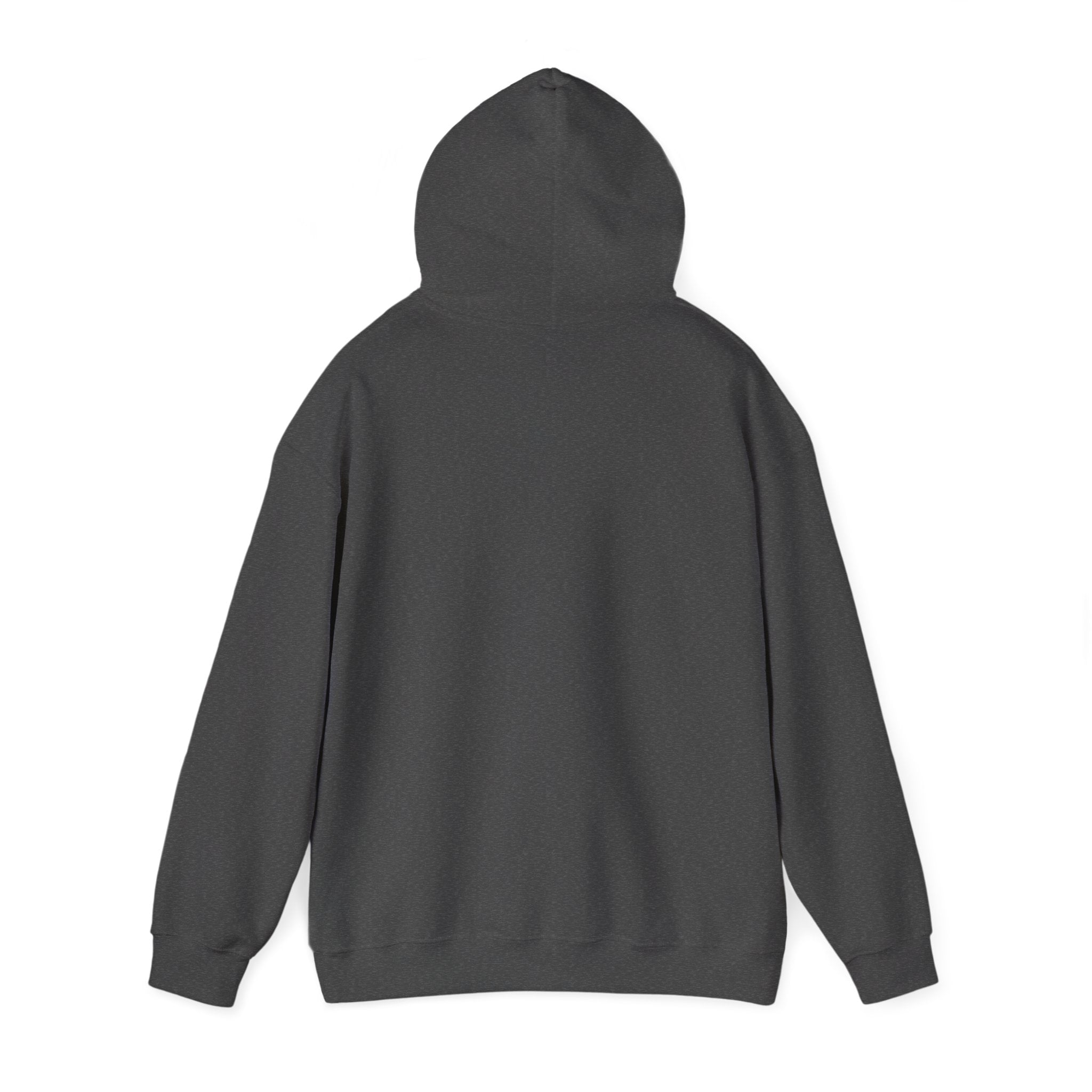 Installing Muscles Hoodie
