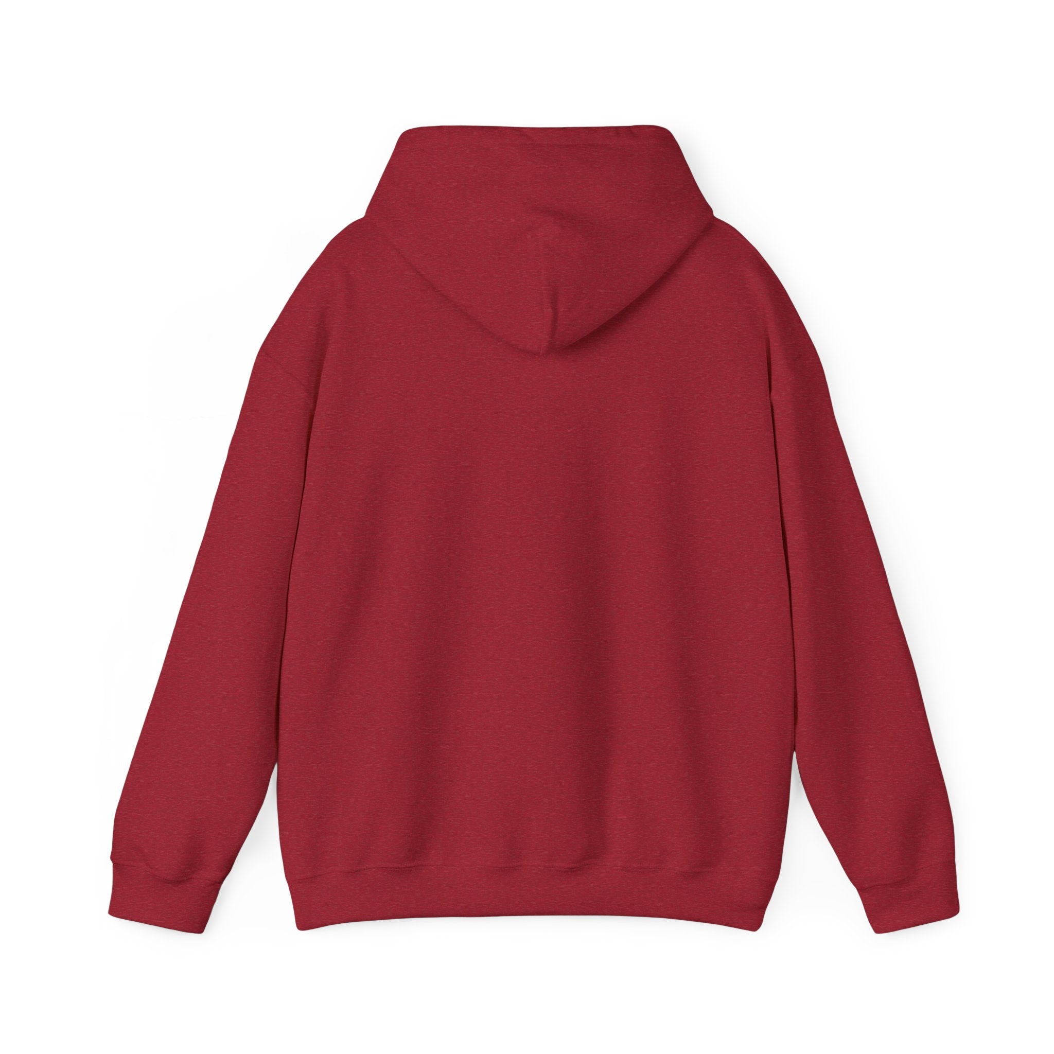 Installing Muscles Hoodie