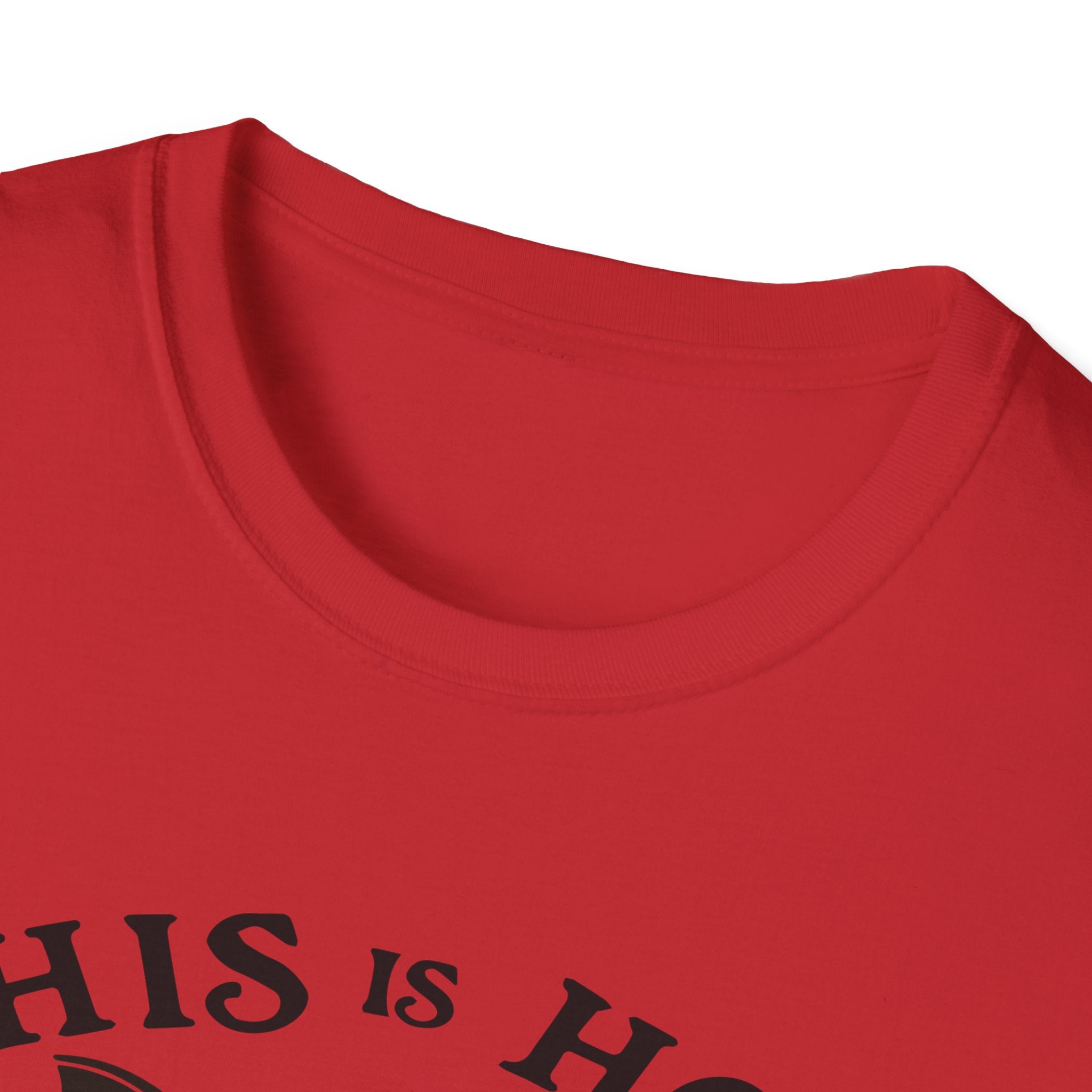 This Is How I Roll D&D Tee